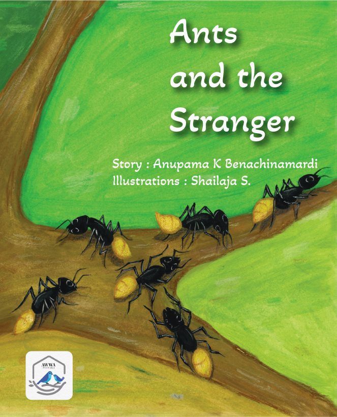 Ants and the Stranger 