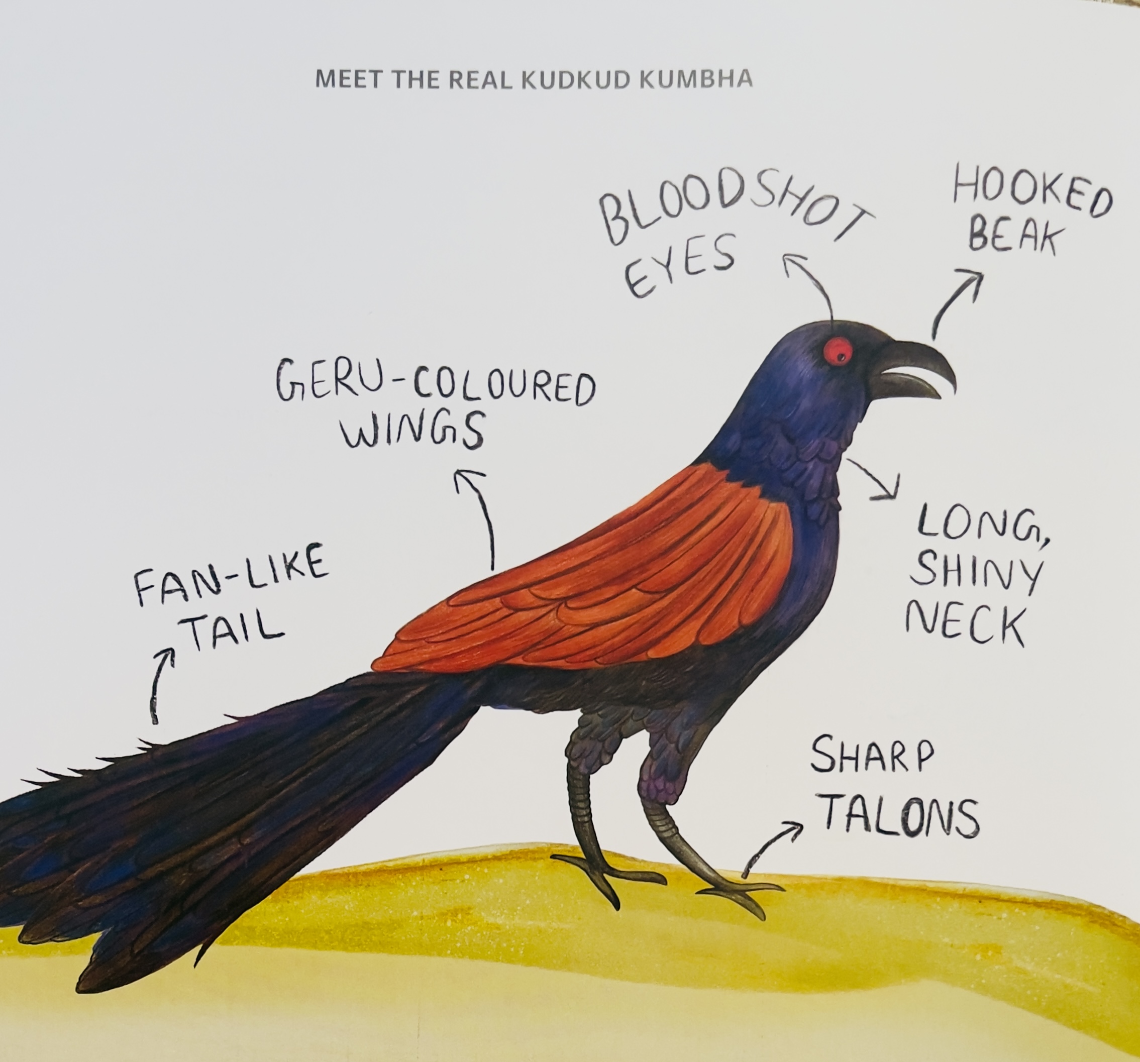 IS THAT A KUDKUD KUMBHA - image 5