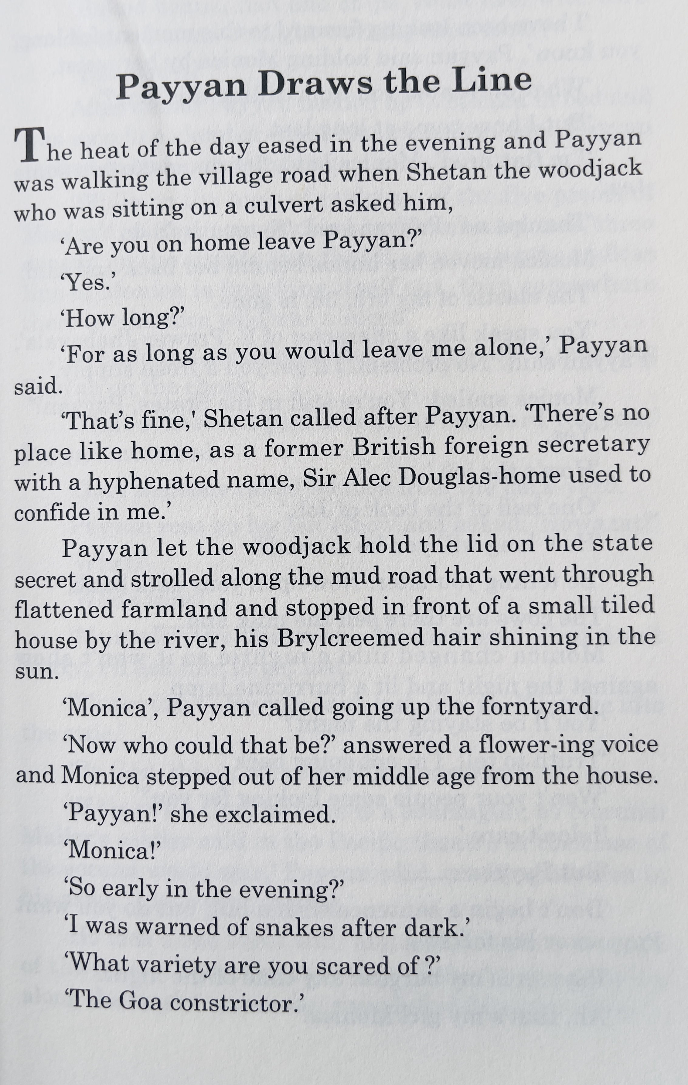 Hanuman in Hamburg - image 5