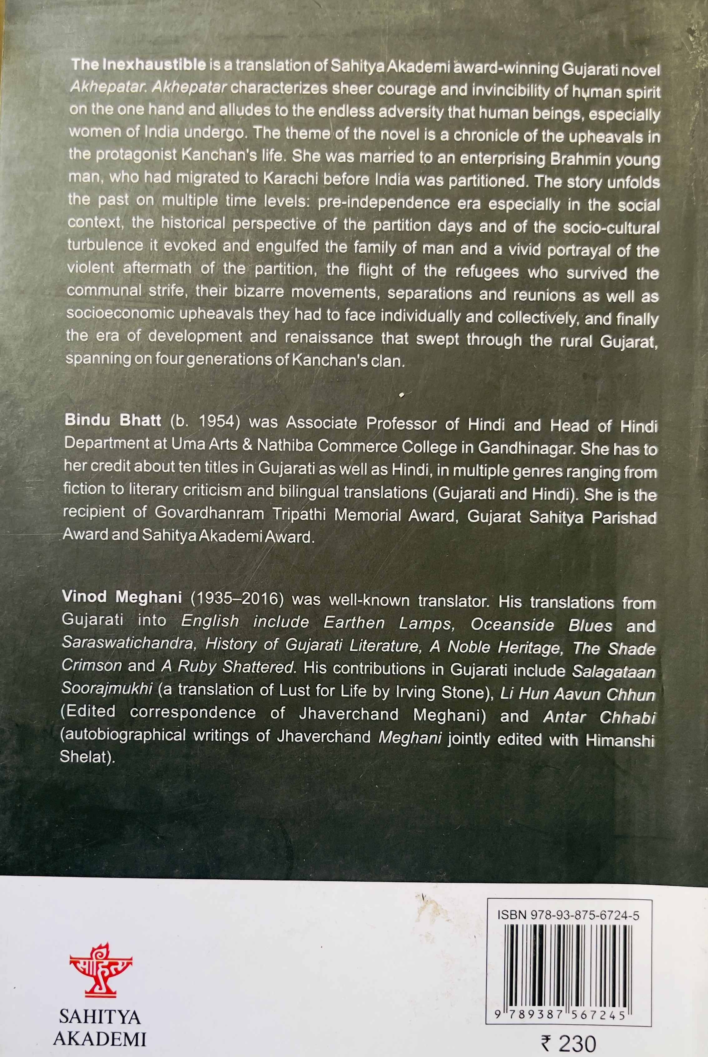 The Inexhaustible - image 2