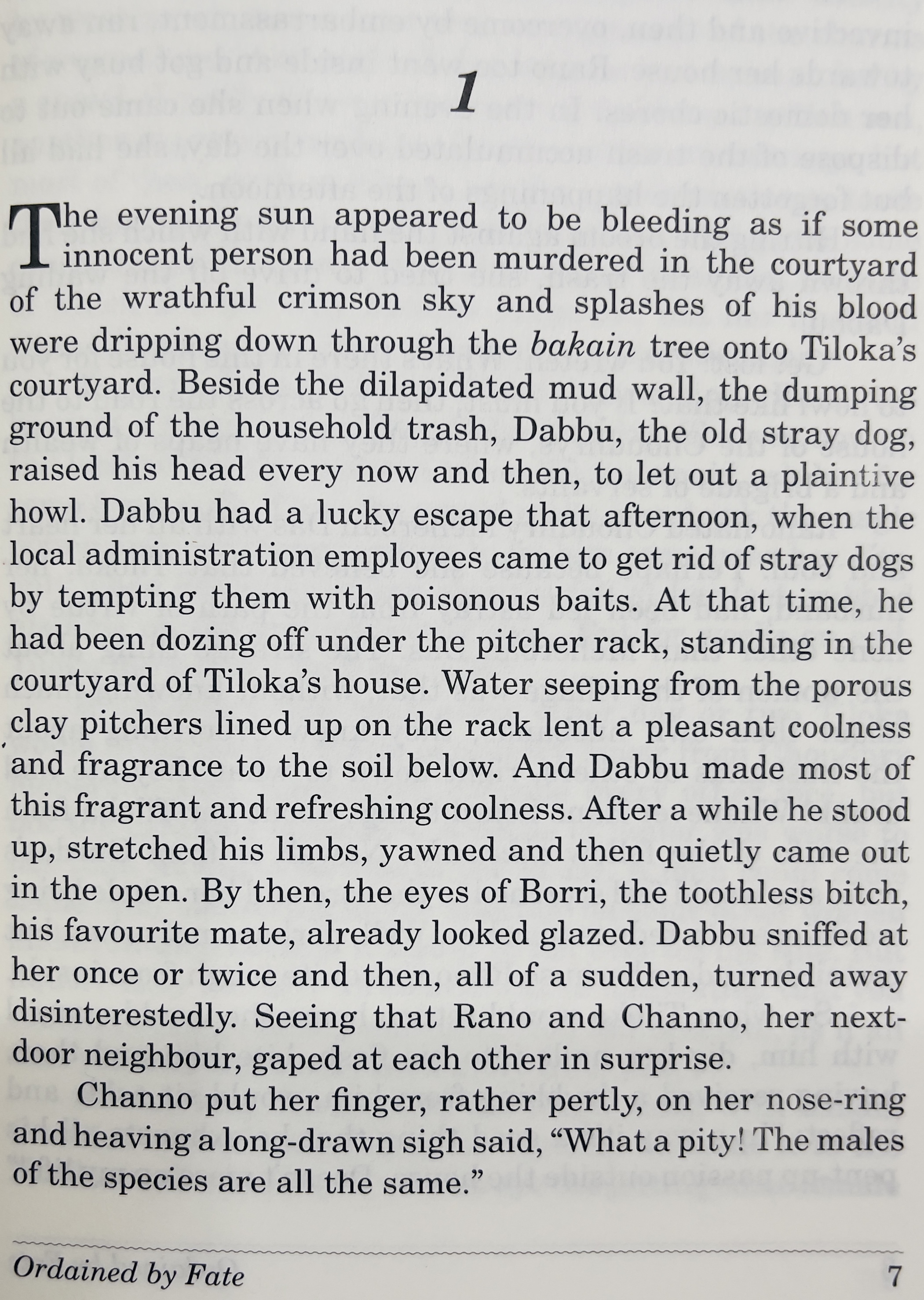 Ordained by fate - image 4