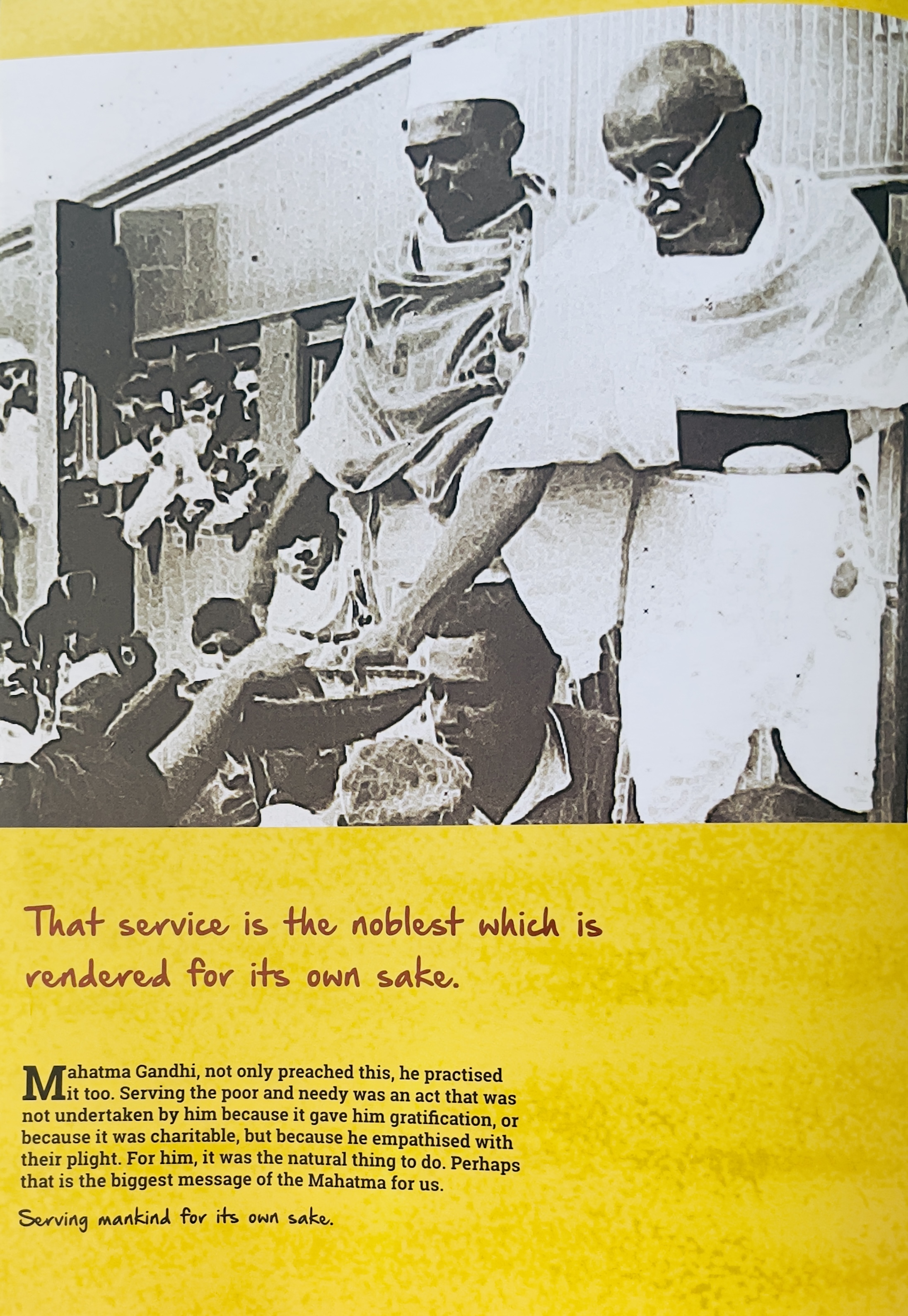 Orbit- Marine Life - image 3