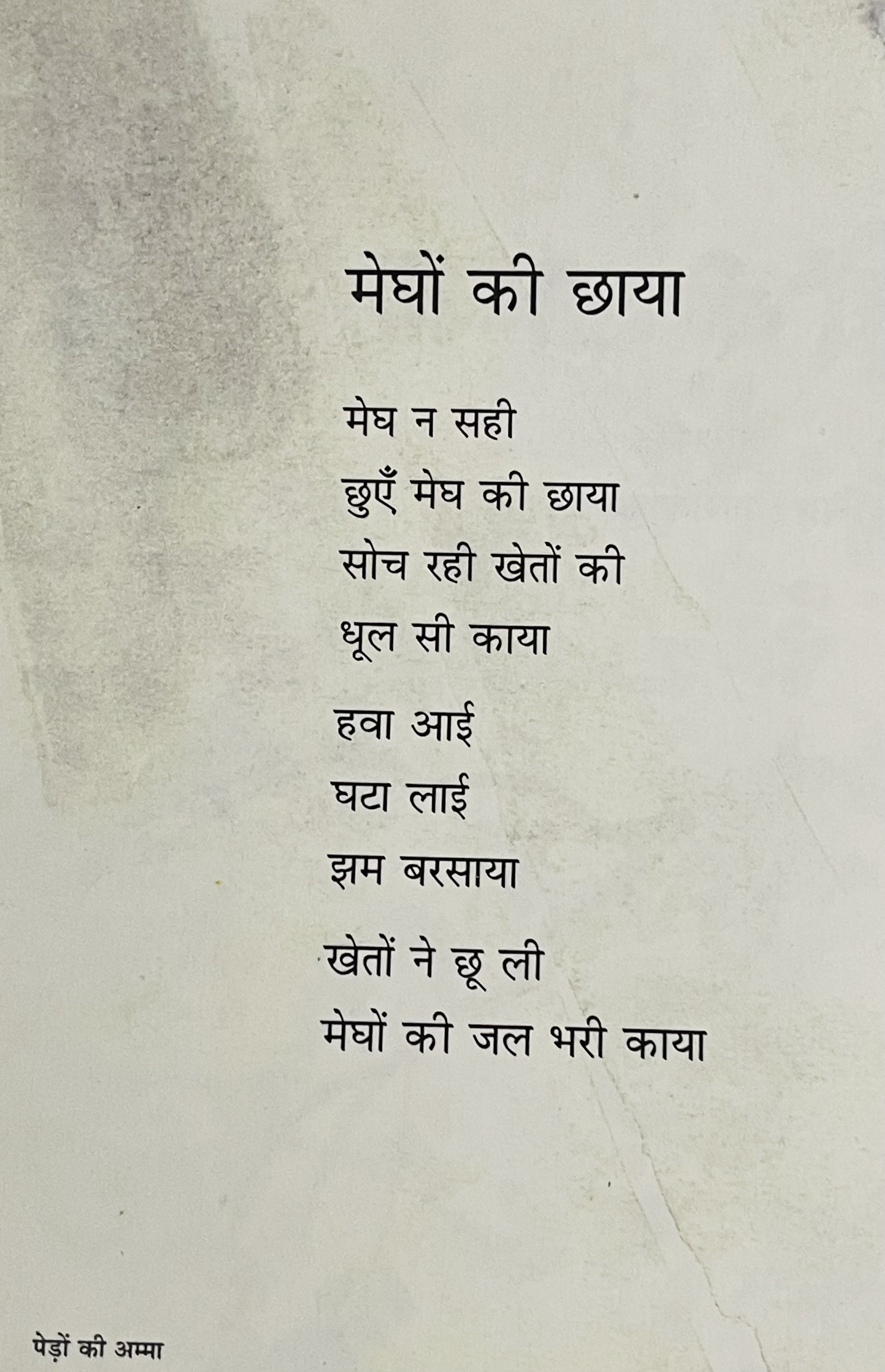 Pedon Ki Amma - image 4