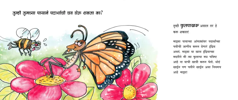 Tumhi Hey Karu Shakaal Ka? - image 4