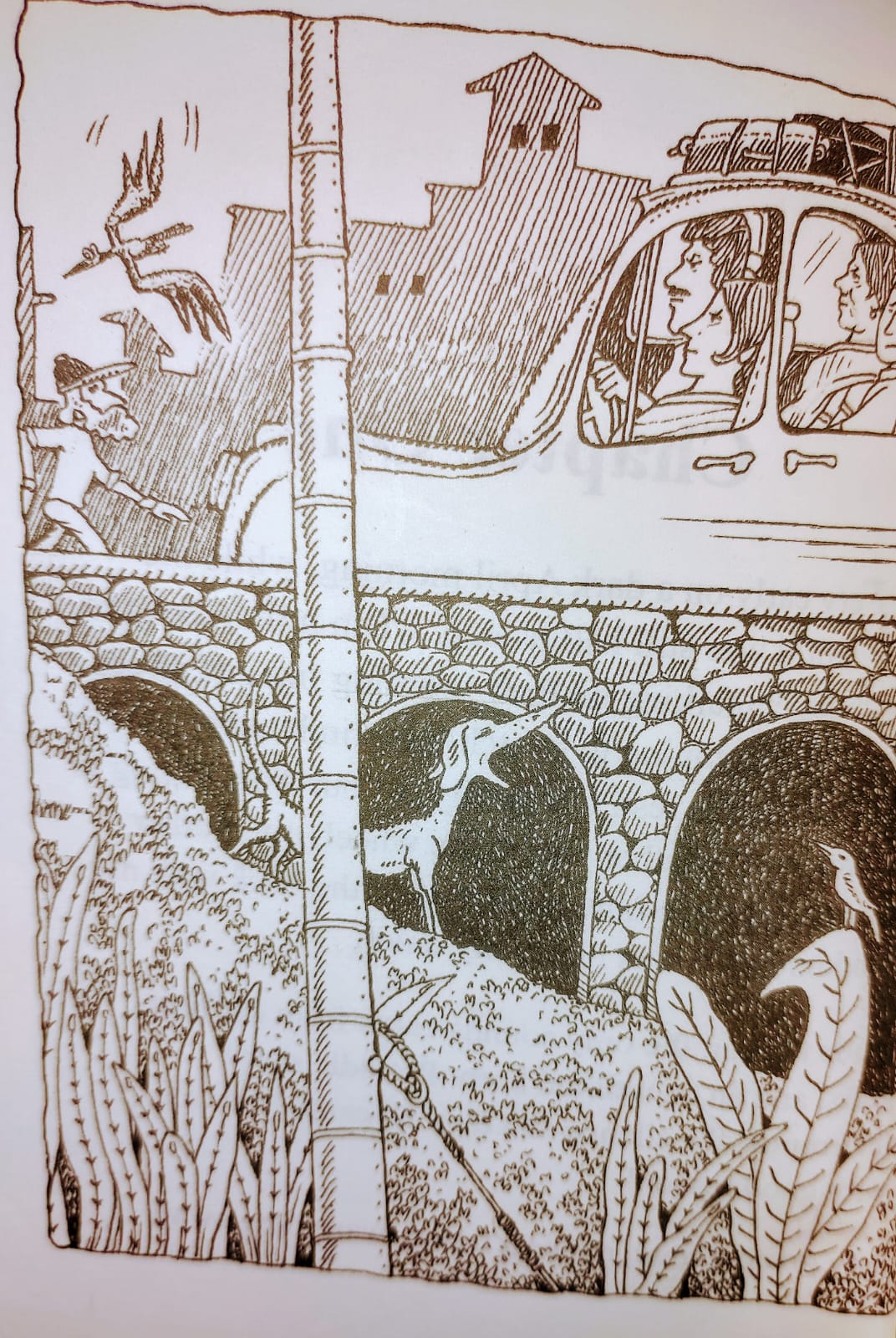 Paati Goes Viral - image 4