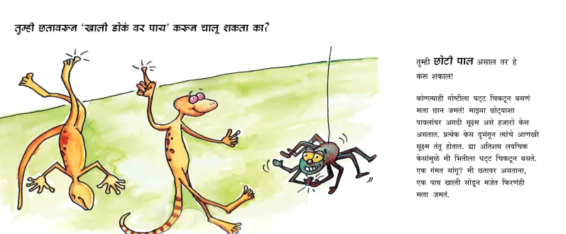 Tumhi Hey Karu Shakaal Ka? - image 3