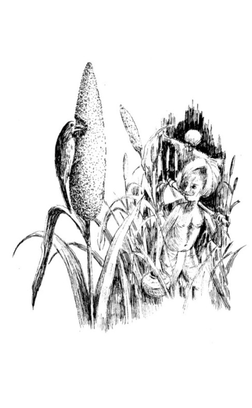 Jungle Ke Beech Train Khadi Thi - image 5