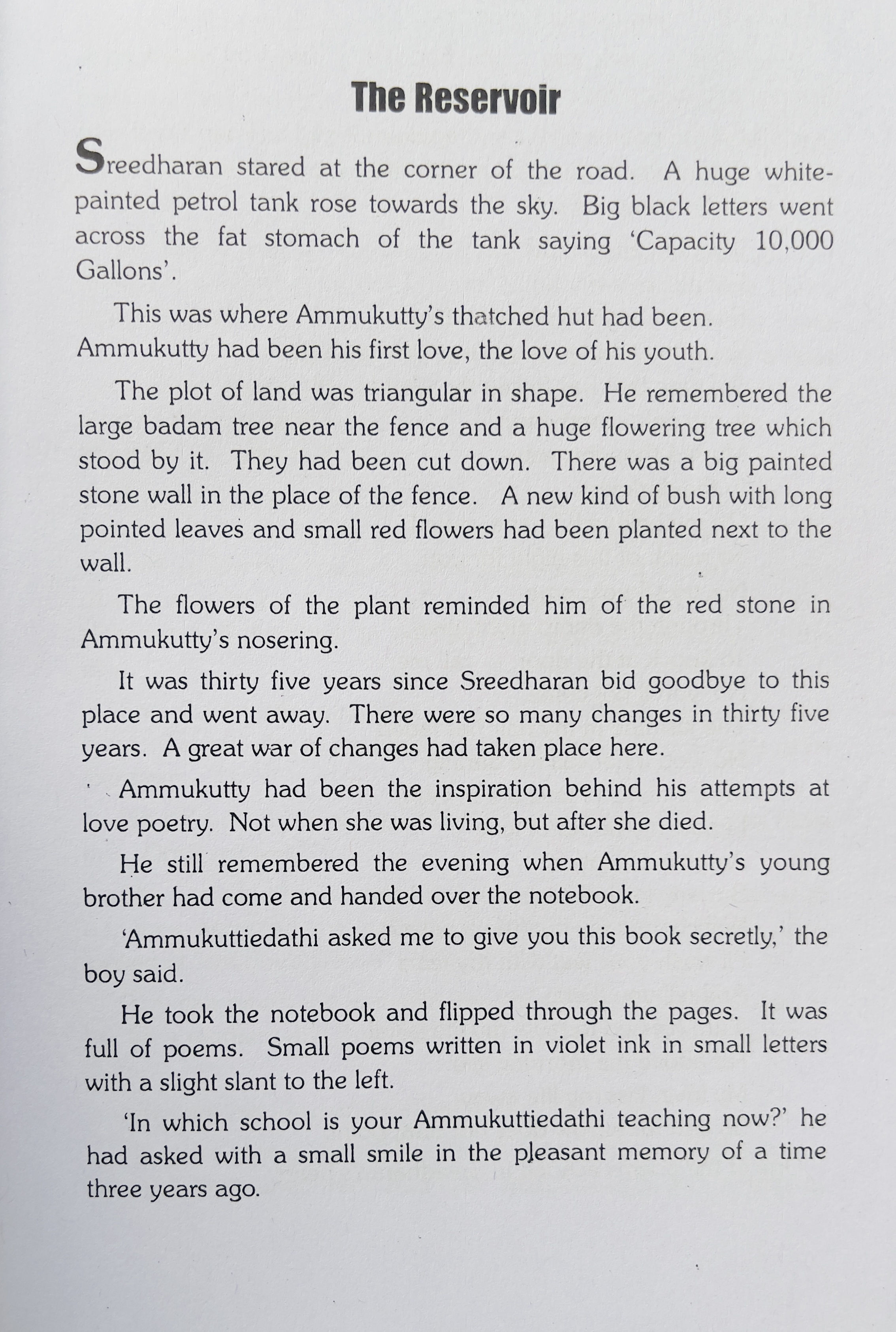 The Tale of a Palace - image 4