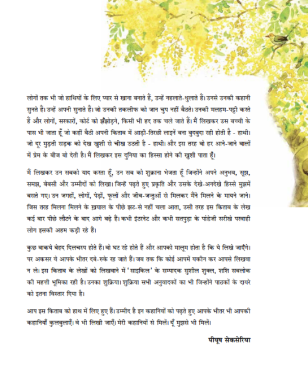 Panch Pairon Wali Hathi   - image 3