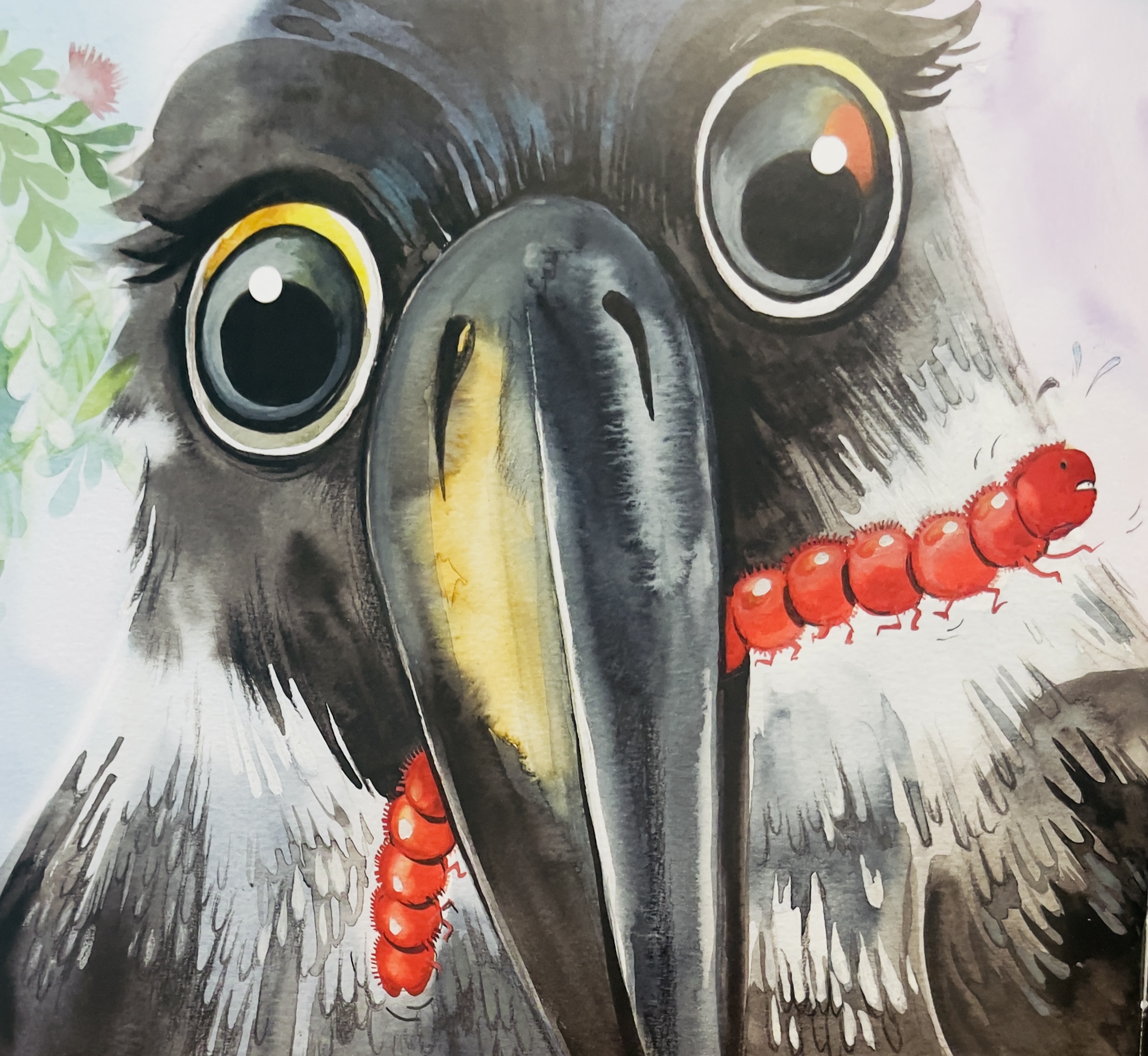 KOEL WANTS A NEST - image 3