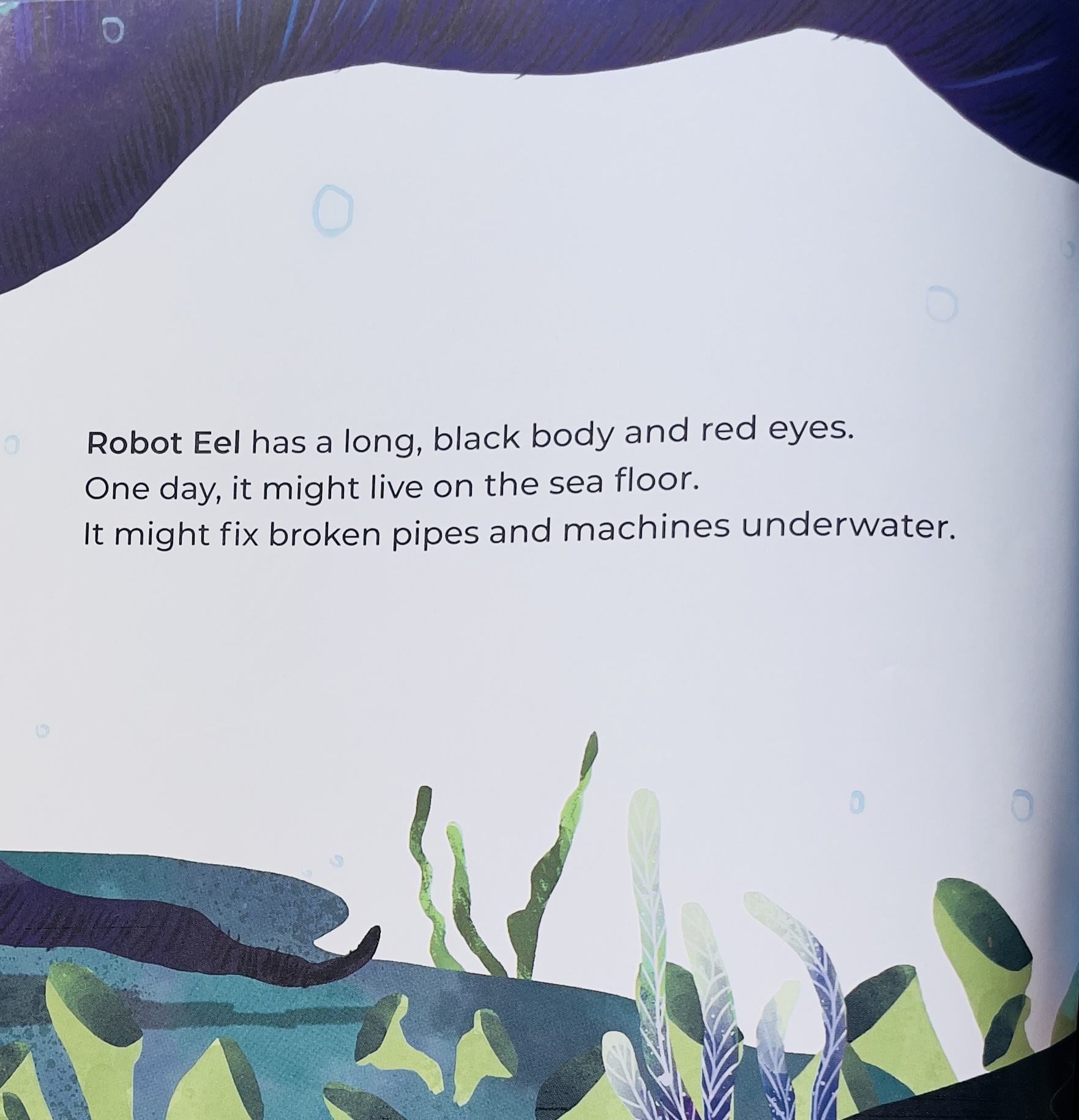 Are You a Fish - image 3