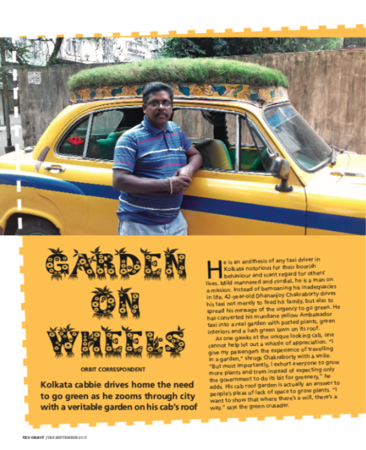 Orbit- Green Space - image 2