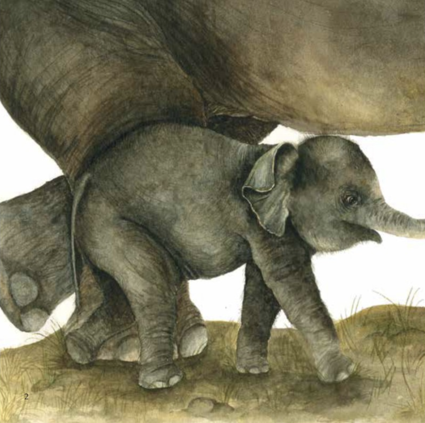 Haathiyon Ki Toli - image 3