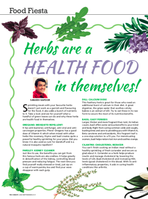 Orbit- Green Space - image 6