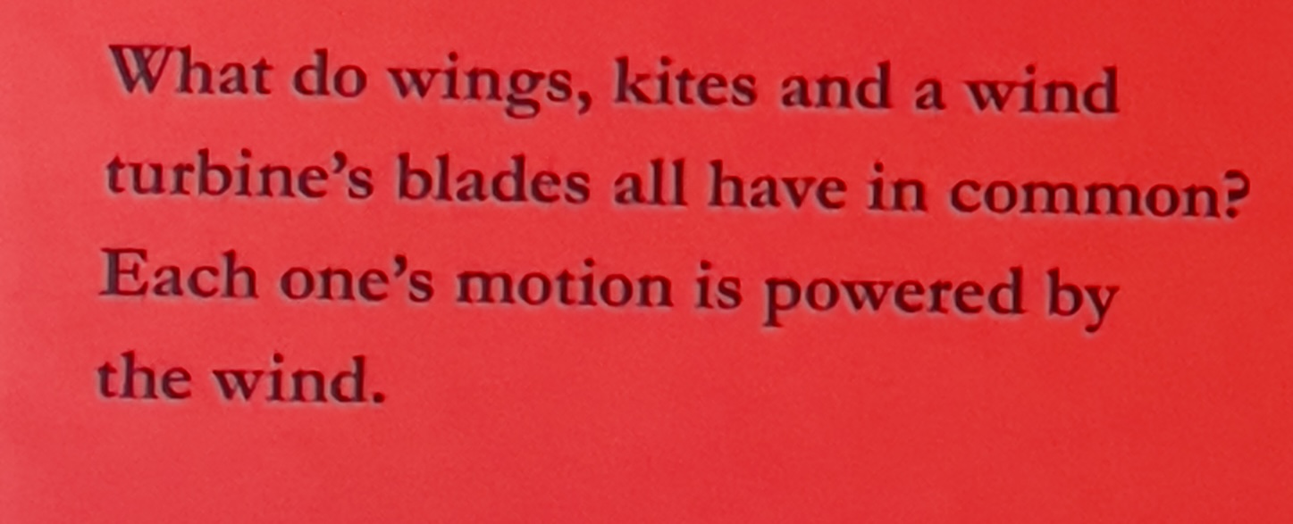 How to Catch the Wind - image 2