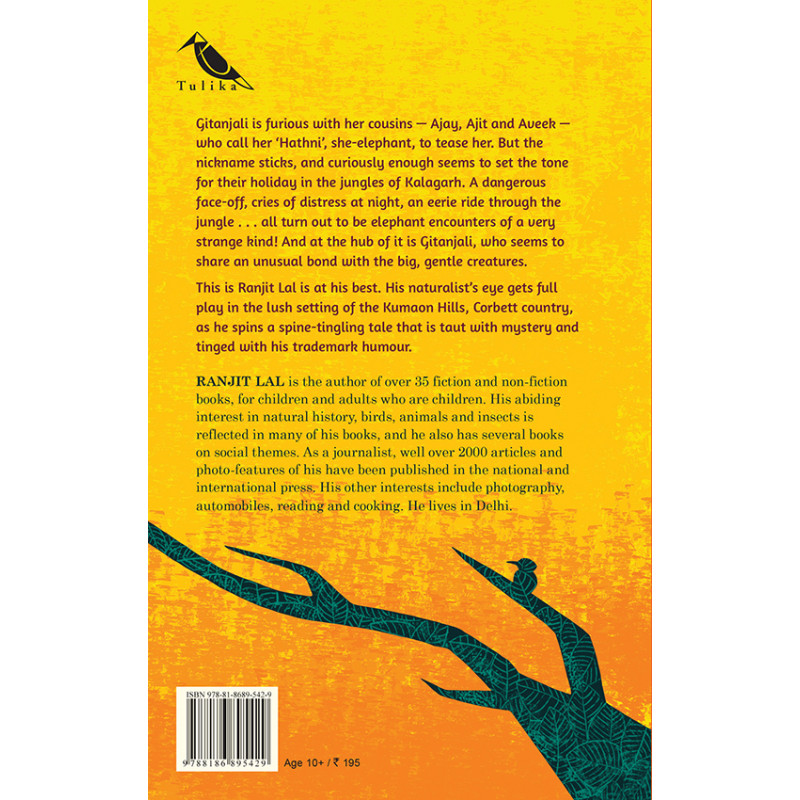 The summer at kalagarh - image 2