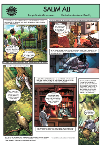 Orbit- Green Space - image 8