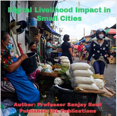 Digital Livelihood Impact in Small Cities  - image 2