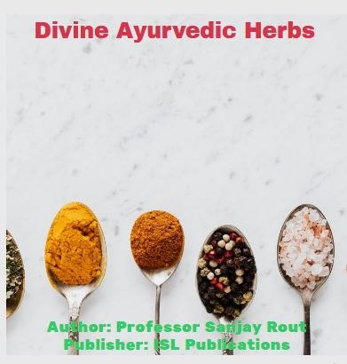 Divine Ayurvedic Herbs 