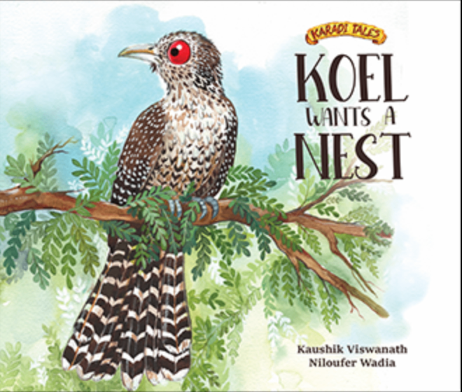 KOEL WANTS A NEST