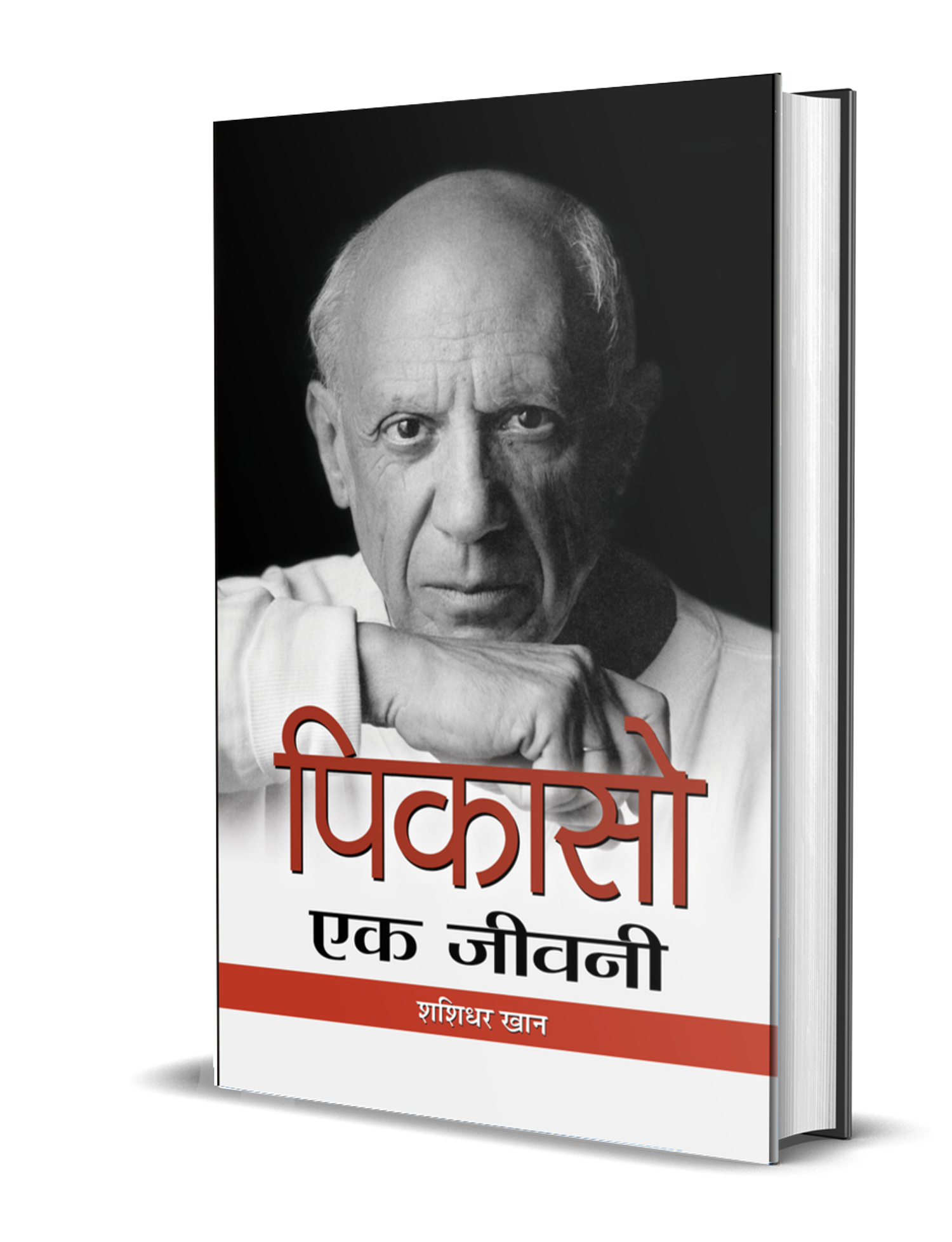 Picasso : Ek Jeevani