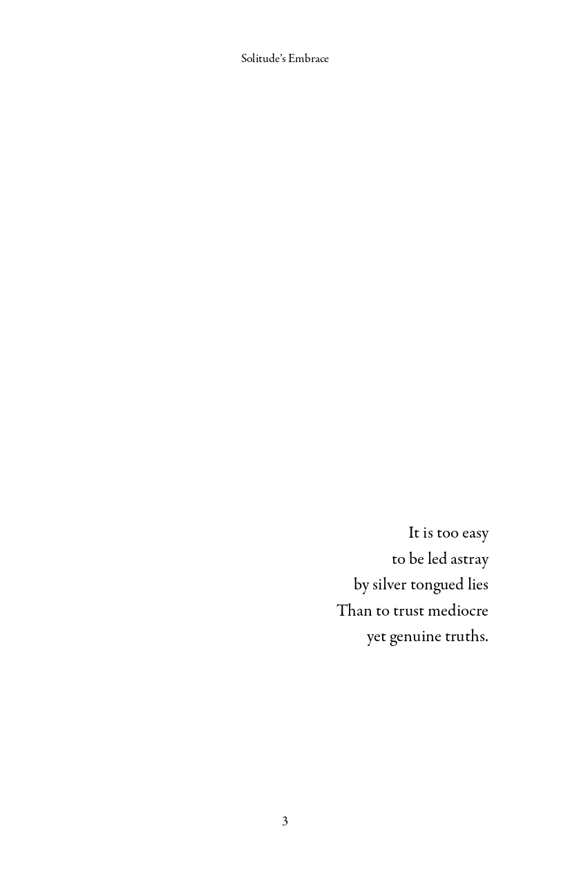 Solitude's Embrace - image 4