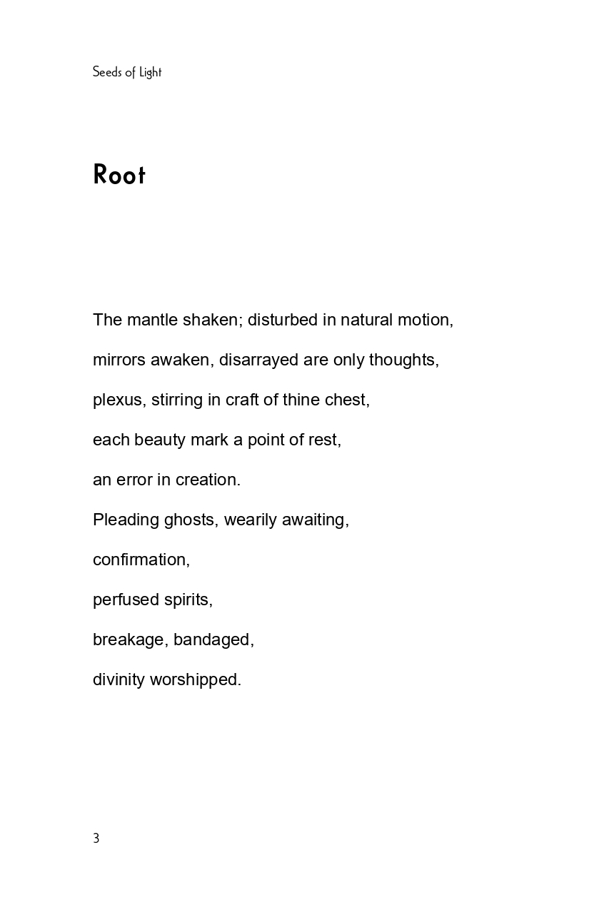 Seeds of Light - image 4