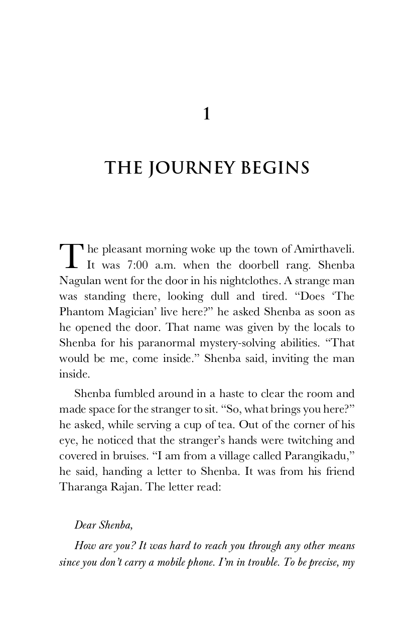 The Phantom Magician and the Tiger Palace - image 2