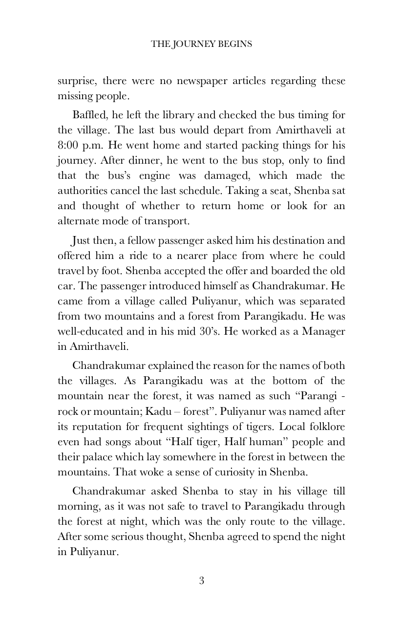 The Phantom Magician and the Tiger Palace - image 4