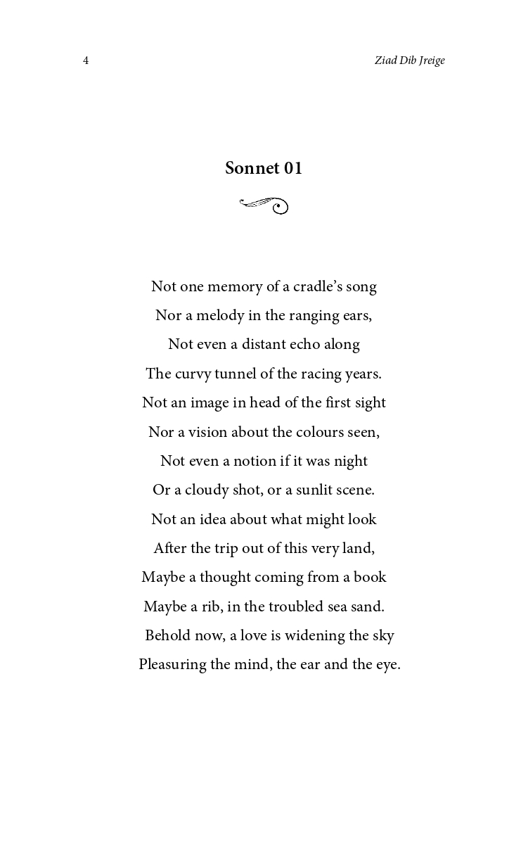 The King of Rimes - image 5