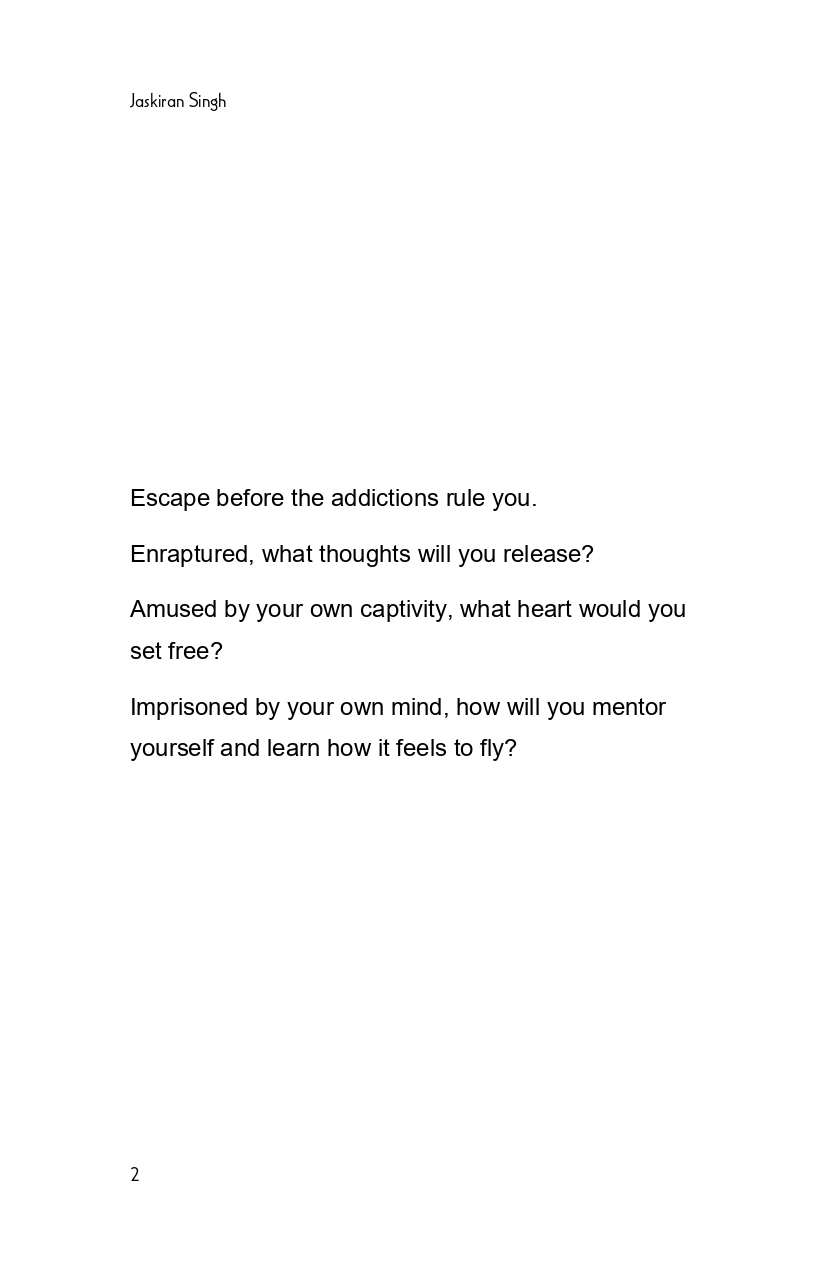 Seeds of Light - image 3