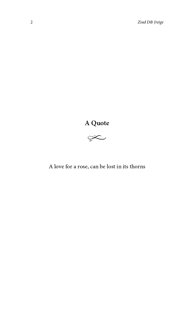 The King of Rimes - image 3