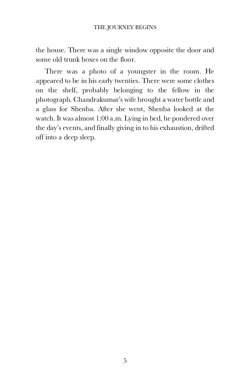 The Phantom Magician and the Tiger Palace - image 6