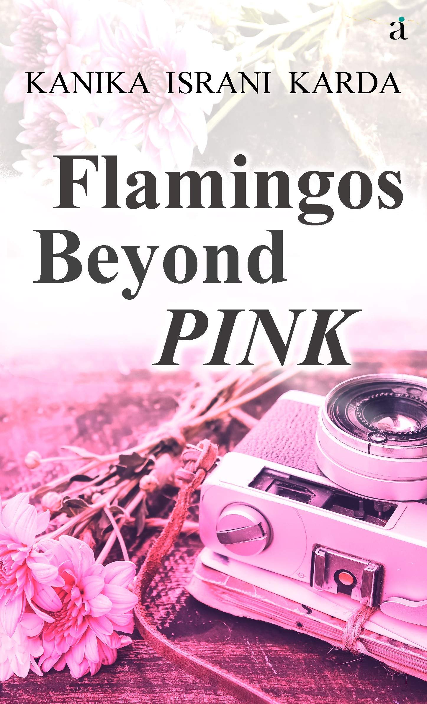 Flamingos Beyond Pink