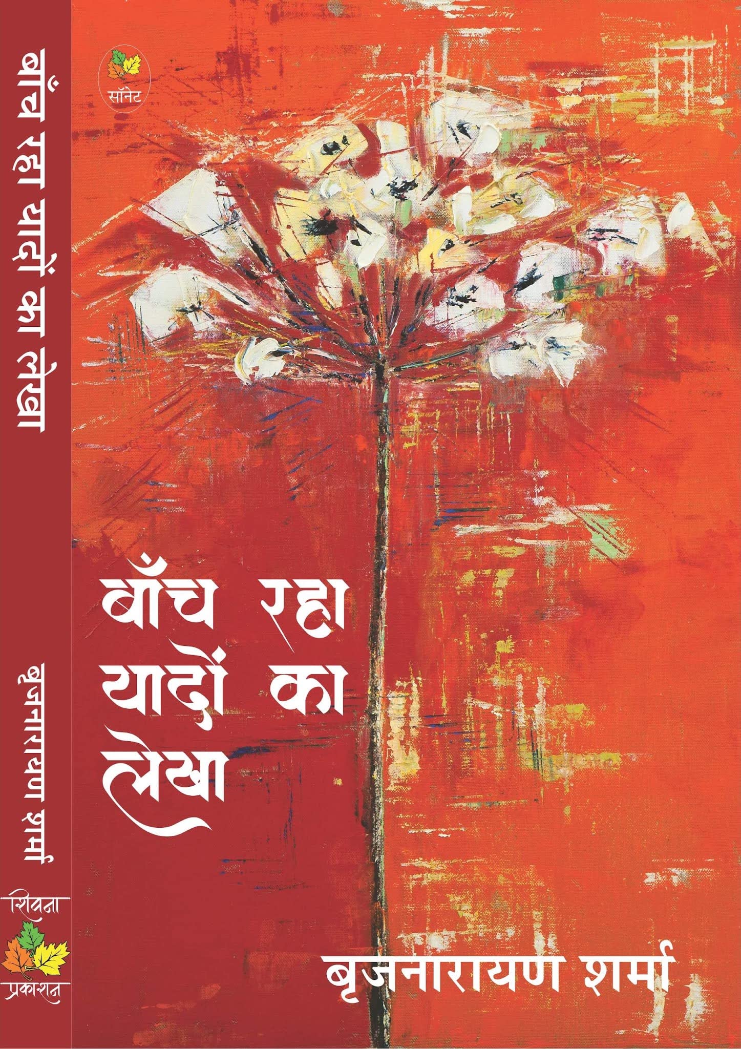 Baanch Raha Yadon Ka Lekha