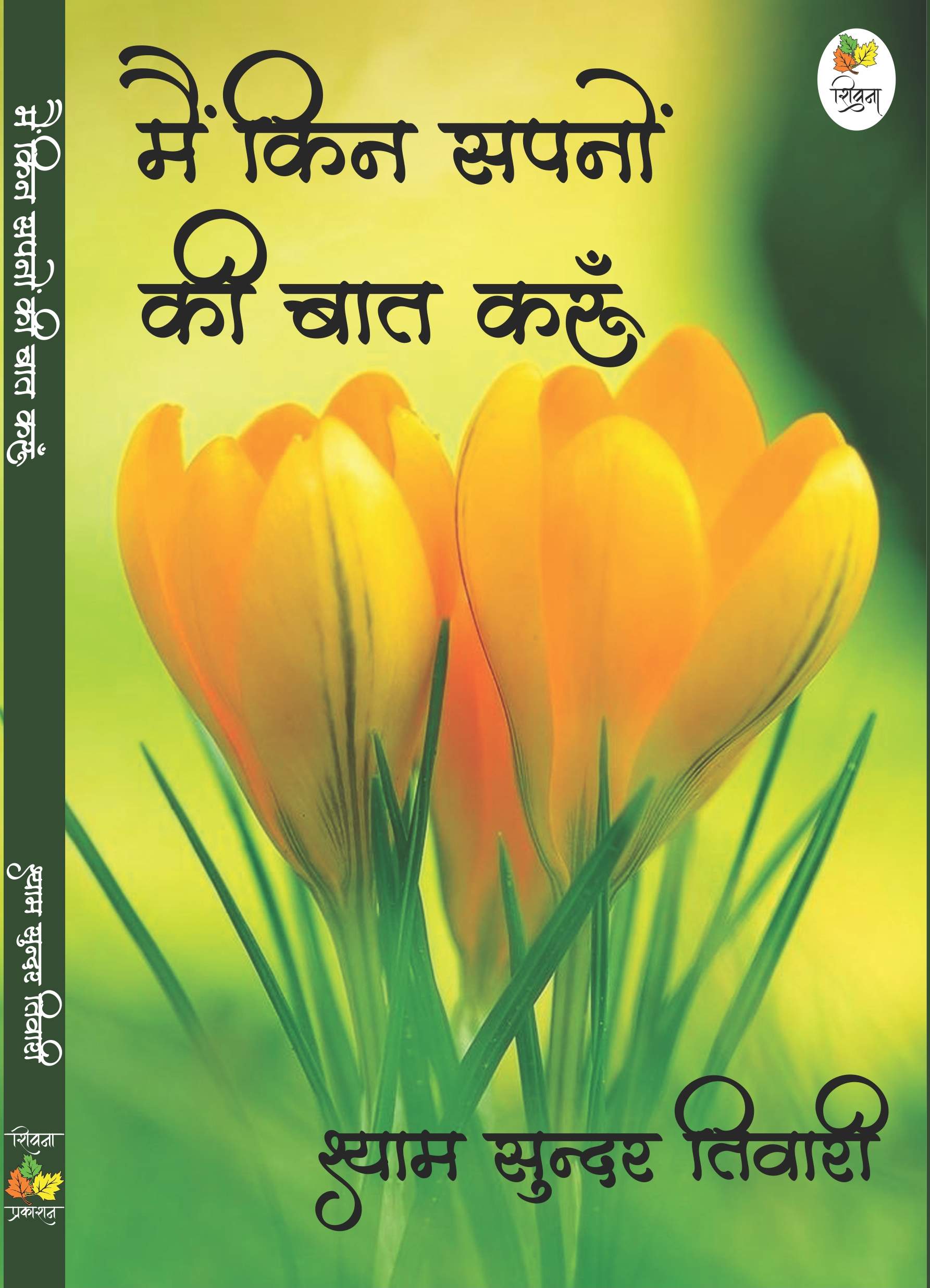 Main Kin Sapnon Ki Baat Karoon