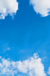 आत्मघात की तरफ बढ़ते कदम